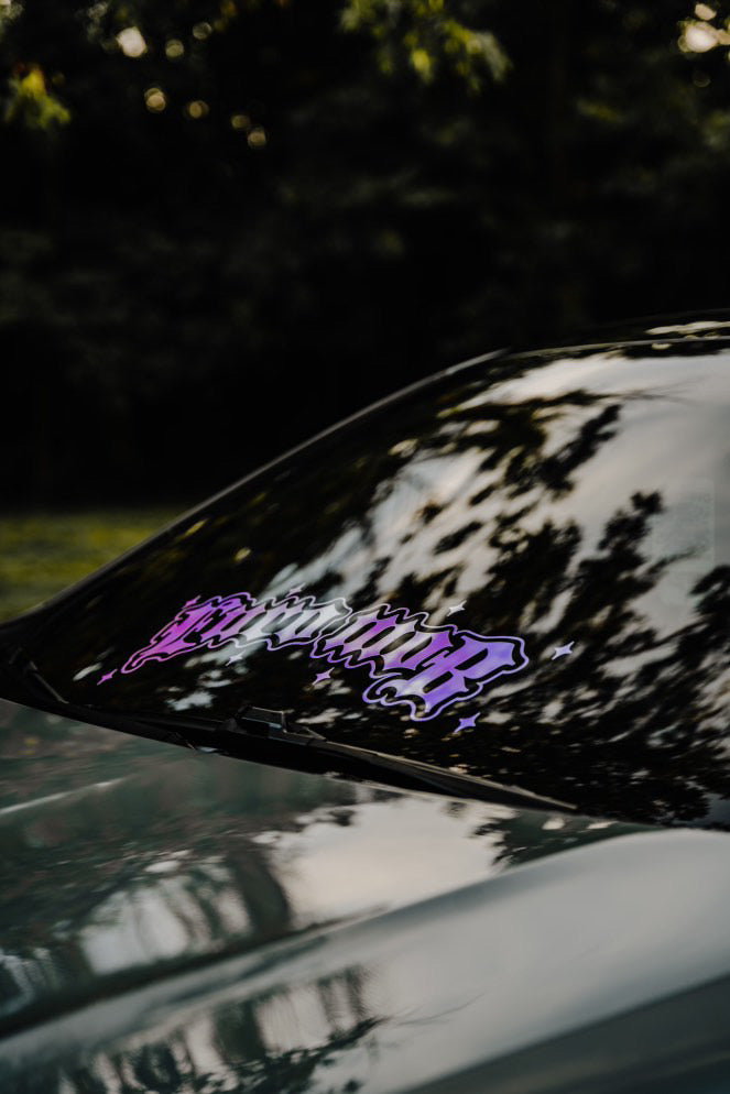 Star Gaze Banner