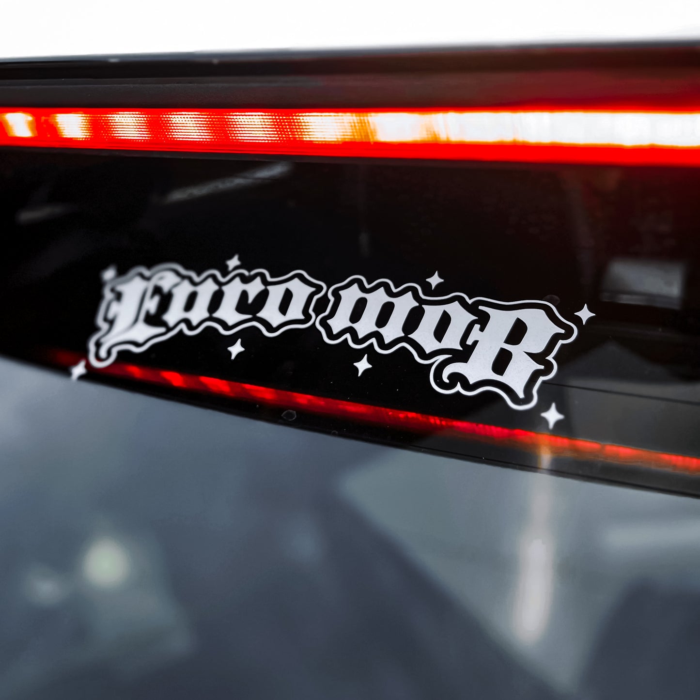 Star Gaze Decal