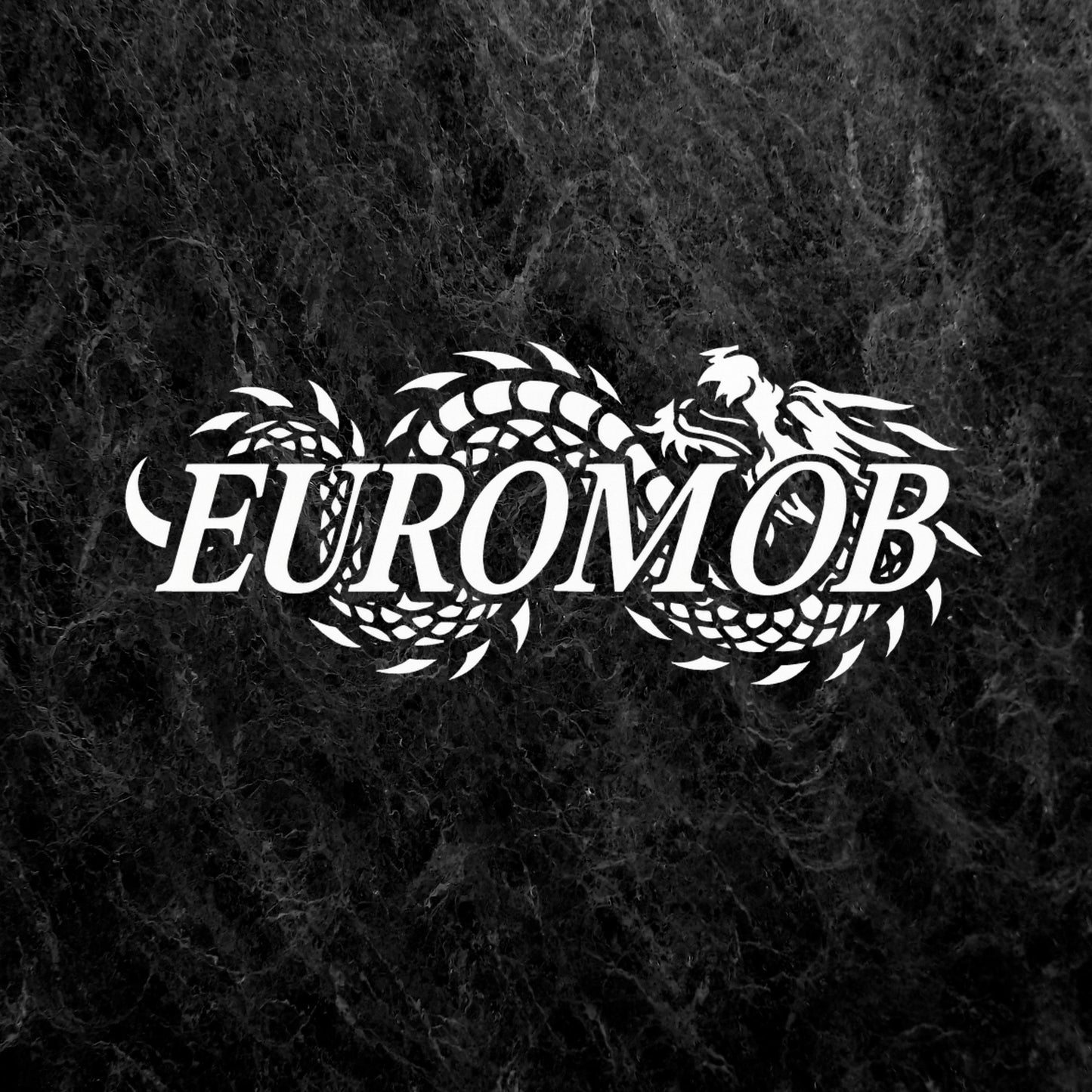 New: Kiss of the Dragon Rear Banner