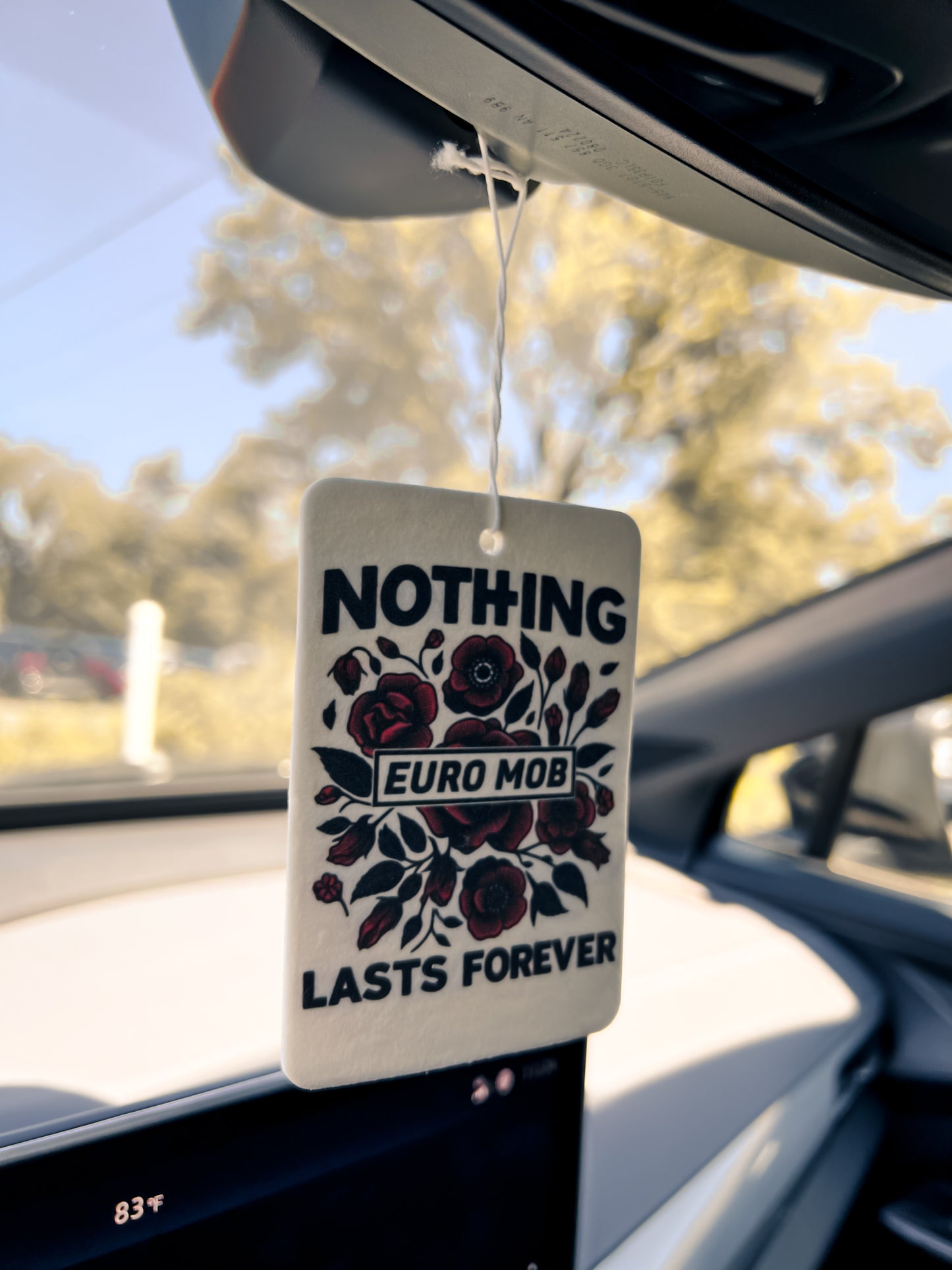 NOTHING LASTS FOREVER Freshie
